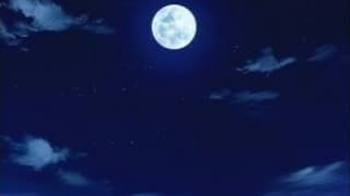 La miss a des oppais vraiment imposants